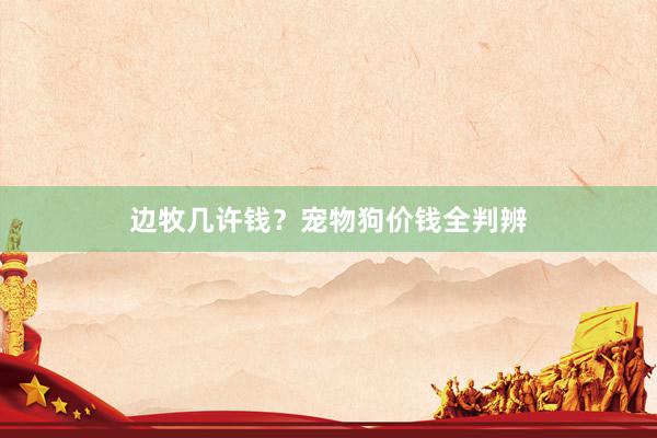 边牧几许钱？宠物狗价钱全判辨